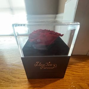 I love you in 100 languages necklace